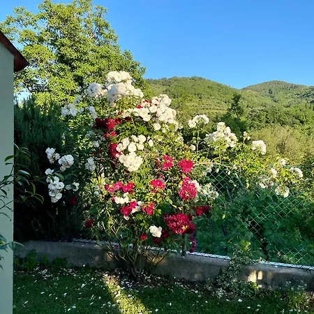Holiday home Romeo - The Suitable One! *