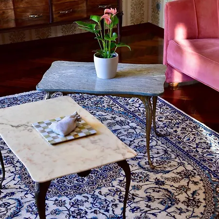 Romeo - The Suitable One! Fognano (Ravenna)