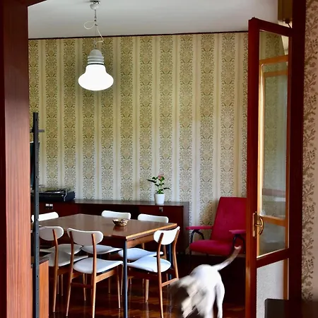 Romeo - The Suitable One! *