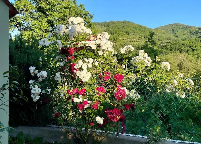 Tatil Evi Romeo - The Suitable One! *